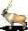 [Baaa!]